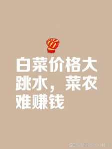 本站资源白菜价出售，附下载说明及版权相关注意事项