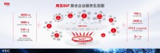 DYKS网红业务平台：构建全面服务生态圈，助力网红与企业合作