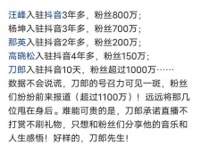 快手购买粉丝现象常见，详细阐述买粉相关事宜及途径