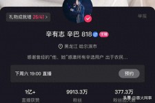 快手粉丝怎么涨_巴子直播破亿_巴子粉丝破亿预测