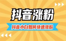 抖音超人气APP，快速粉丝方法教程大揭秘