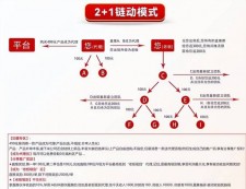 直推与间推收益及等级、团队奖励详情：金豆收益大揭秘