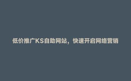 自助推广平台_ks推广自助网站便宜_自助推广是什么意思