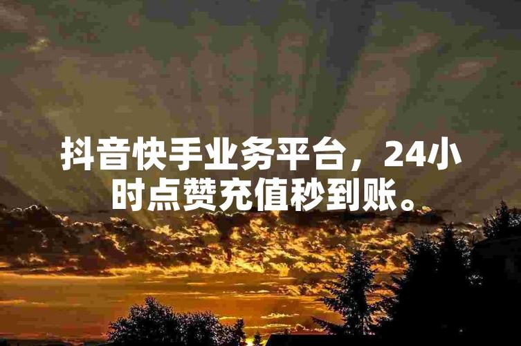 一元一千个快手粉丝,24h秒单业务网-图3