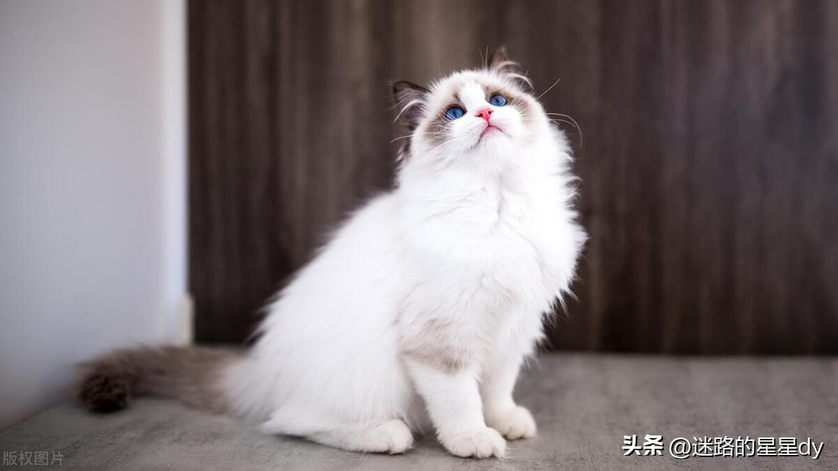 dy点赞播放量业务_痛点直给_情绪钩子