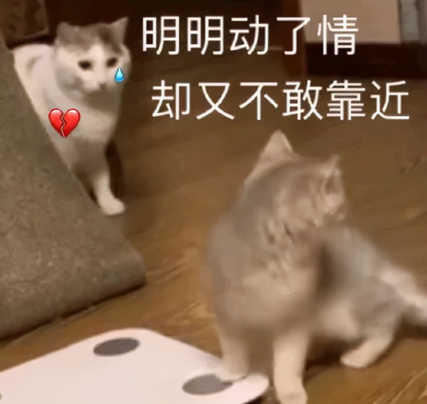  购物节热度下降原因 __快手粉丝低价自助平台超低价